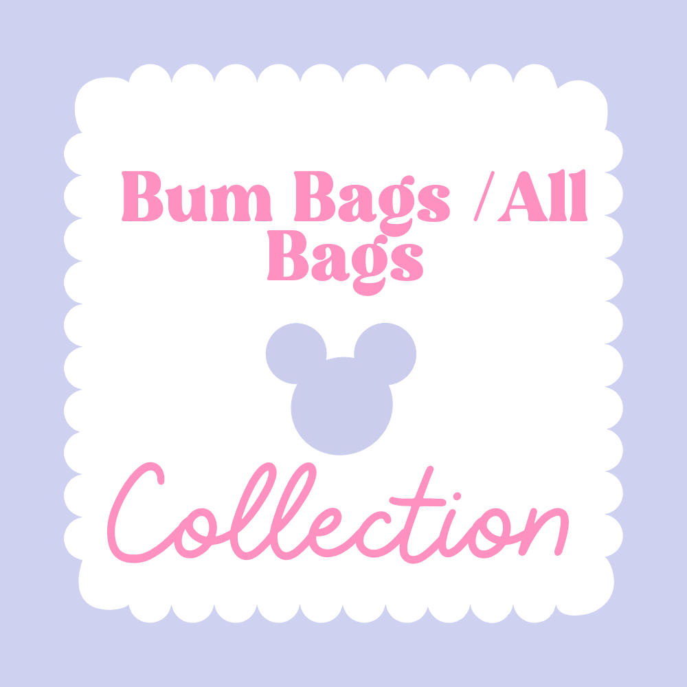 Bum Bag / All Bags